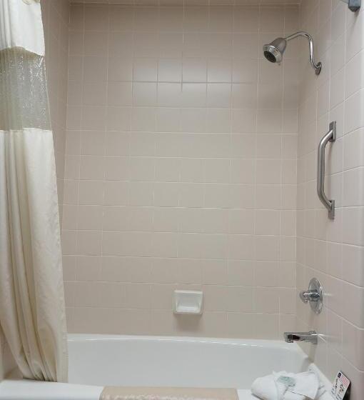 Номер Стандарт 2 Двуспальные Кровати, Best Western Plus Forest Park Inn