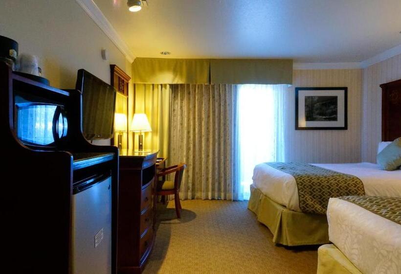 Номер Стандарт 2 Двуспальные Кровати, Best Western Plus Forest Park Inn