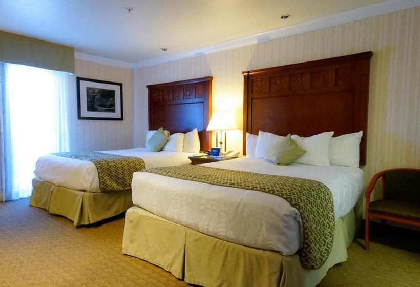 Номер Стандарт 2 Двуспальные Кровати, Best Western Plus Forest Park Inn