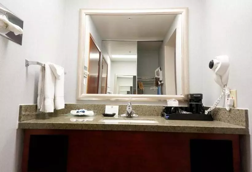 اتاق اجرایی با تخت بزرگ, Best Western Plus Forest Park Inn