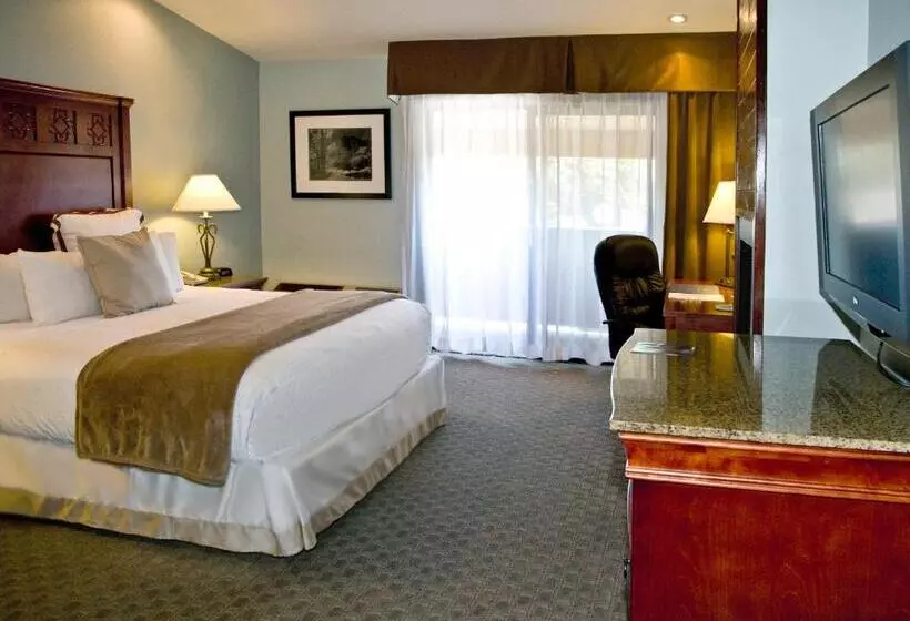 اتاق اجرایی با تخت بزرگ, Best Western Plus Forest Park Inn
