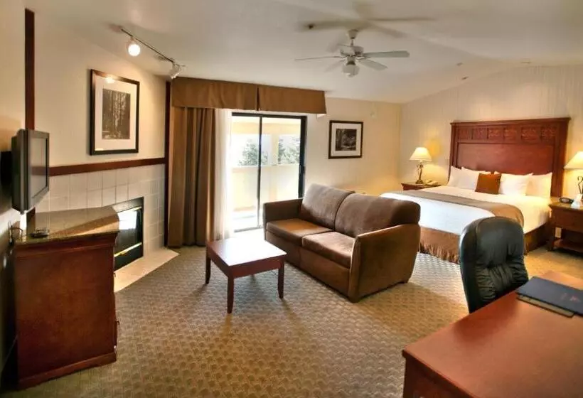 اتاق اجرایی با تخت بزرگ, Best Western Plus Forest Park Inn