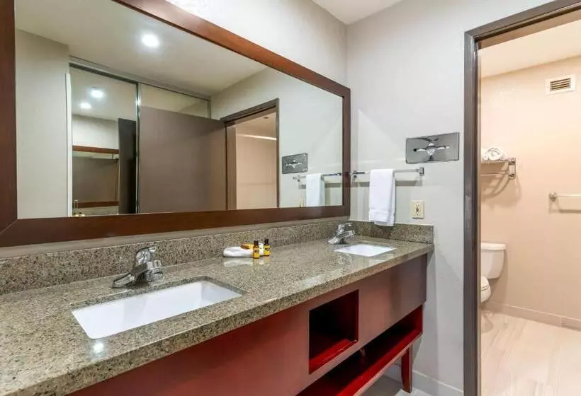 اتاق اجرایی با تخت بزرگ, Best Western Plus Forest Park Inn