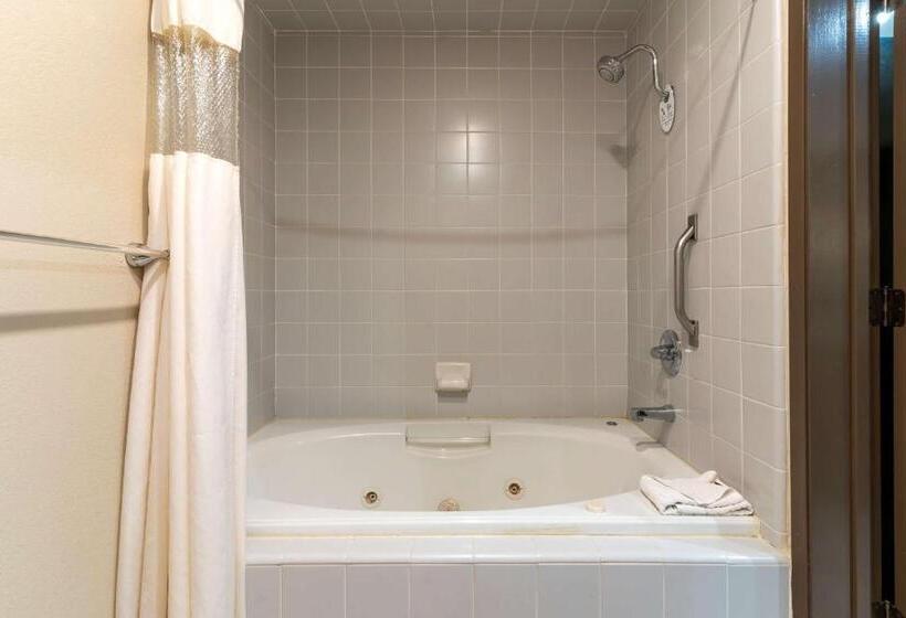 Номер Executive Кровать Кинг, Best Western Plus Forest Park Inn