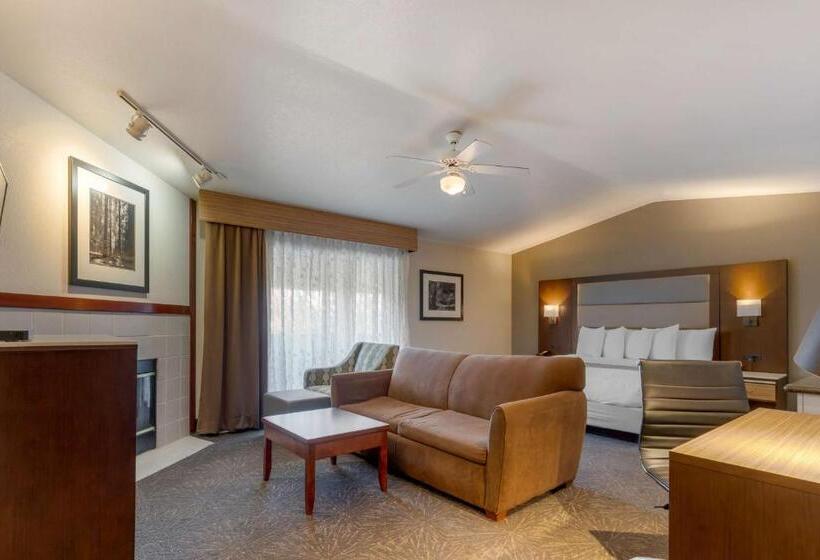 Номер Executive Кровать Кинг, Best Western Plus Forest Park Inn