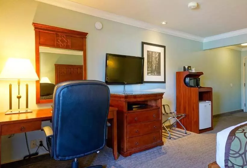 اتاق استاندارد با تخت بزرگ برای معلولان, Best Western Plus Forest Park Inn