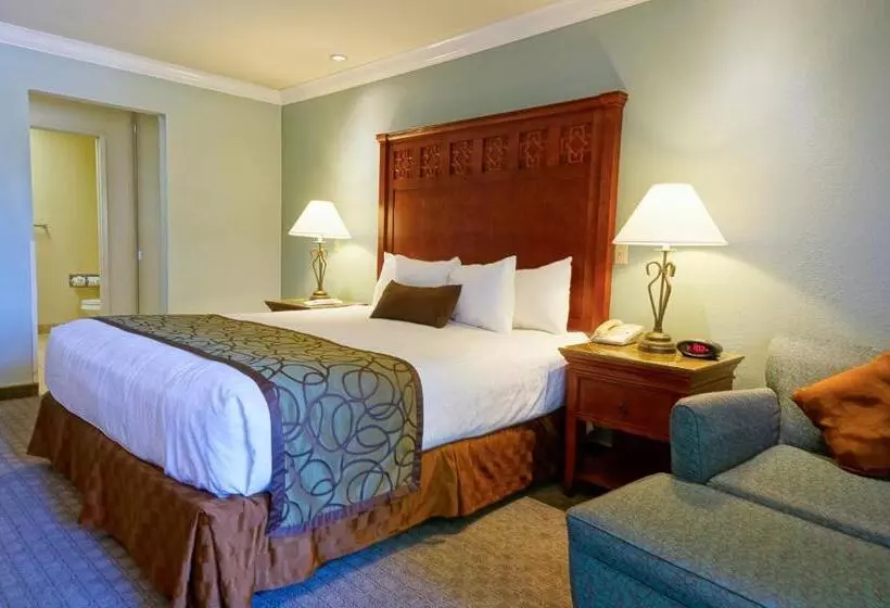 اتاق استاندارد با تخت بزرگ برای معلولان, Best Western Plus Forest Park Inn