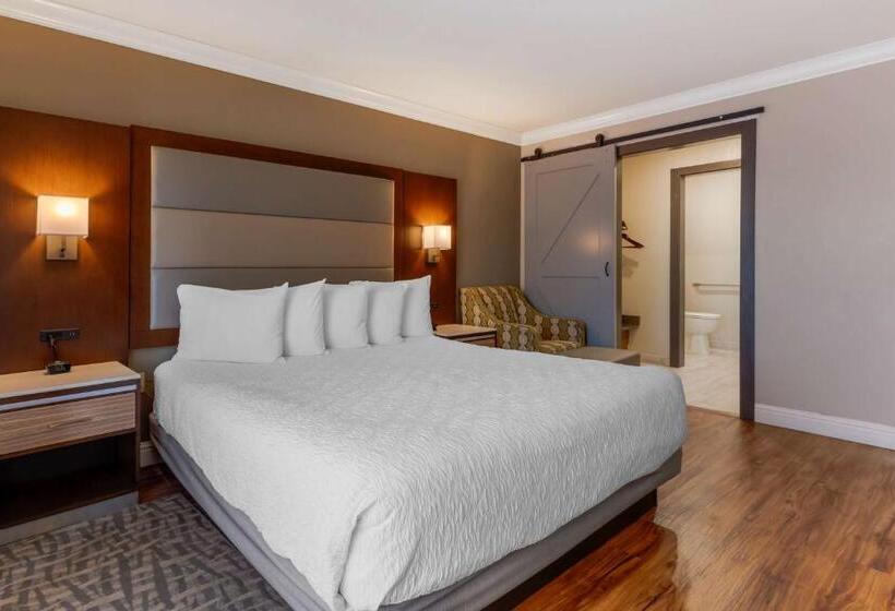 Номер Стандарт Кровать Кинг Адаптированный для Инвалидов, Best Western Plus Forest Park Inn