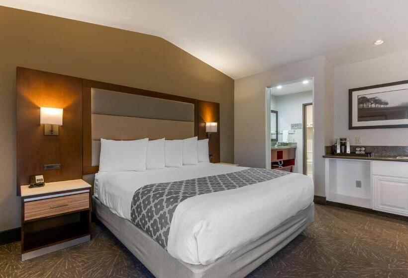 Номер Стандарт Адаптированный для Инвалидов, Best Western Plus Forest Park Inn