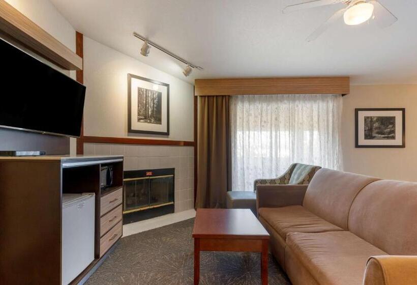 Номер Стандарт Адаптированный для Инвалидов, Best Western Plus Forest Park Inn