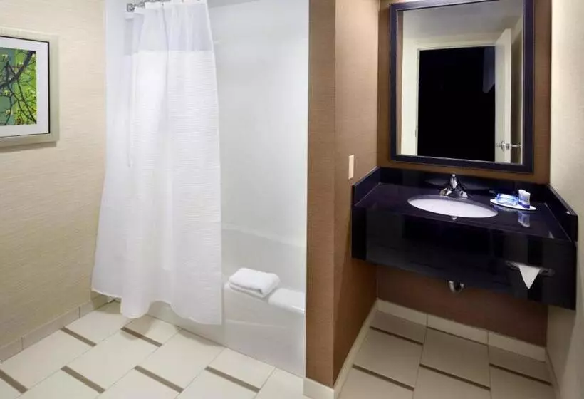 キングサイズベッドのスタンダードルーム, Fairfield Inn By Marriott East Rutherford Meadowlands