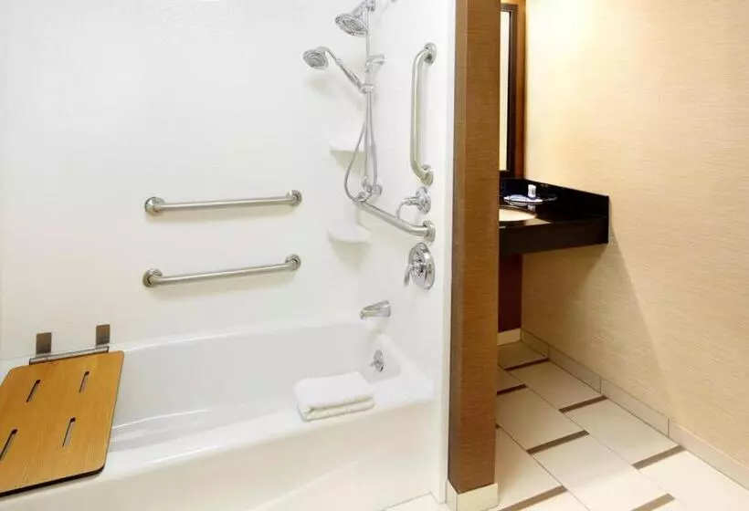身障者適用キングサイズベッドルーム, Fairfield Inn By Marriott East Rutherford Meadowlands