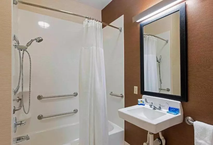 キングサイズベッドのスタンダードルーム, Fairfield Inn & Suites By Marriott Bloomington