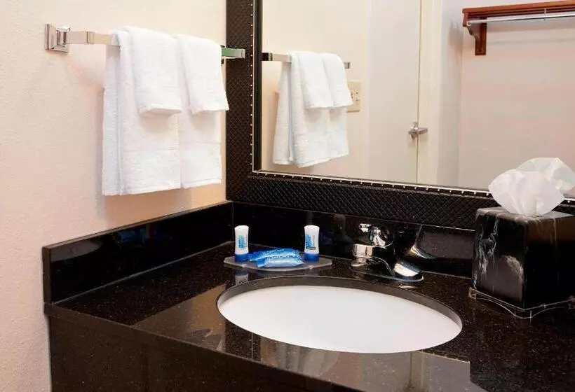 身障者適用スタンダードルーム, Fairfield Inn & Suites By Marriott Bloomington