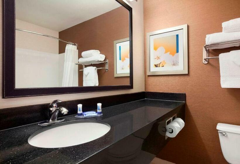 غرفة قياسية, Fairfield Inn & Suites Lansing West