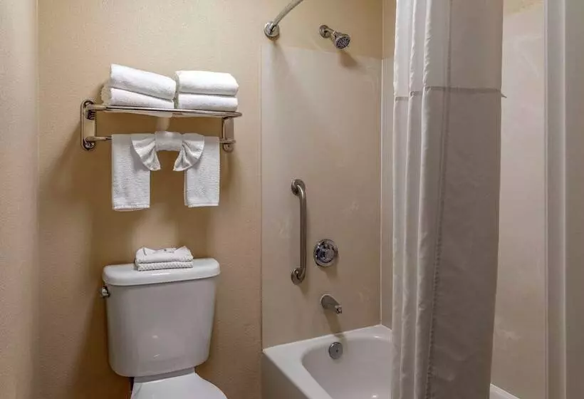 اتاق استاندارد با 2 تخت دوبل, Quality Inn Placentia Anaheim Fullerton