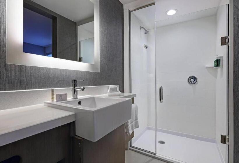 带大床的套房, Springhill Suites By Marriott Palm Desert