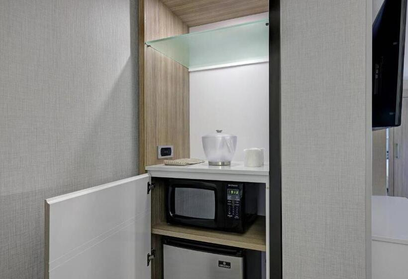 带大床的套房, Springhill Suites By Marriott Palm Desert