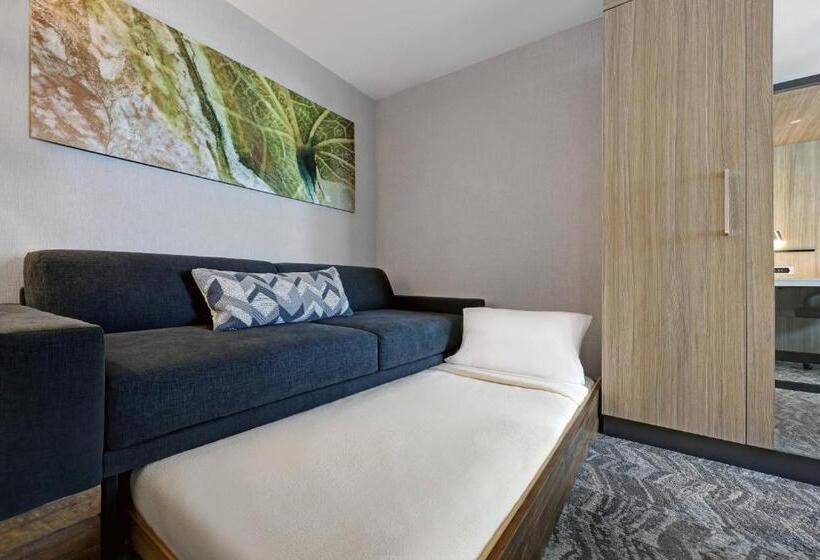 带大床的套房, Springhill Suites By Marriott Palm Desert