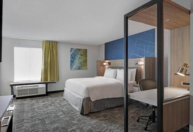 带大床的套房, Springhill Suites By Marriott Palm Desert