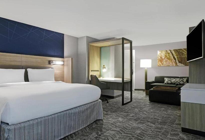 带大床的套房, Springhill Suites By Marriott Palm Desert