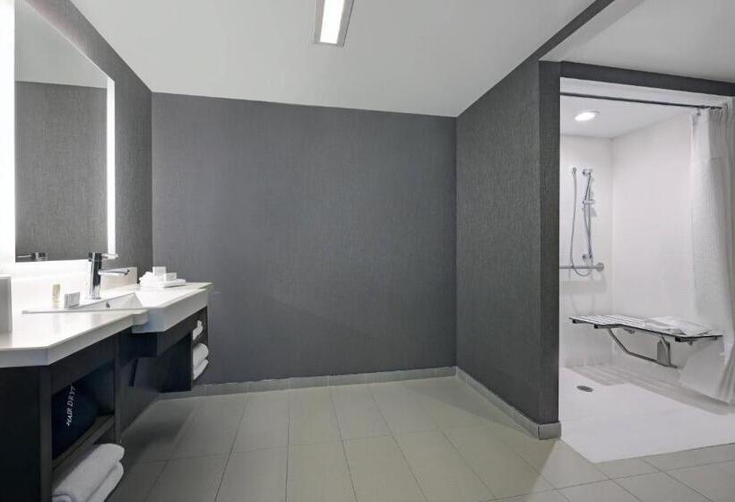 带皇后床的套间, Springhill Suites By Marriott Palm Desert