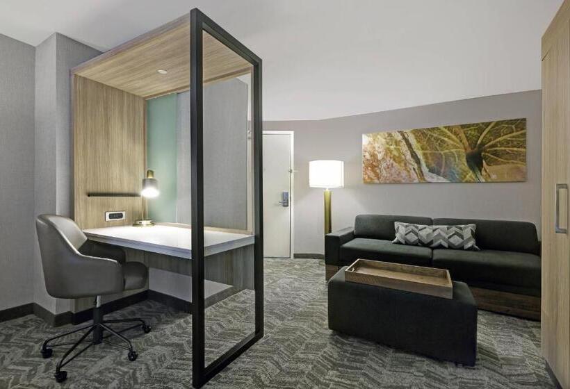 带皇后床的套间, Springhill Suites By Marriott Palm Desert