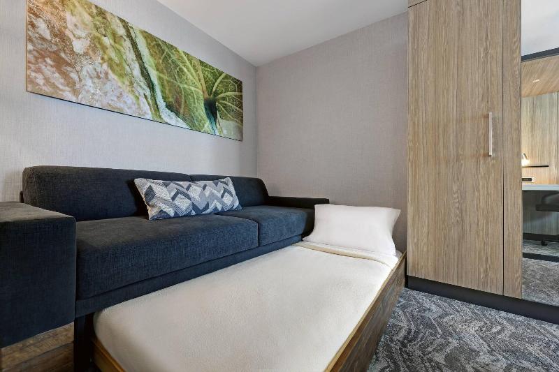 带大床的套房, Springhill Suites By Marriott Palm Desert