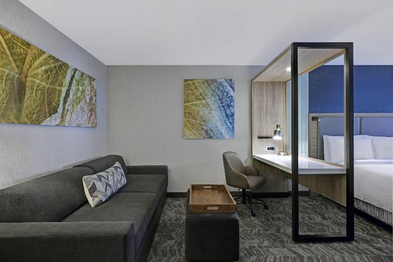 带大床的套房, Springhill Suites By Marriott Palm Desert