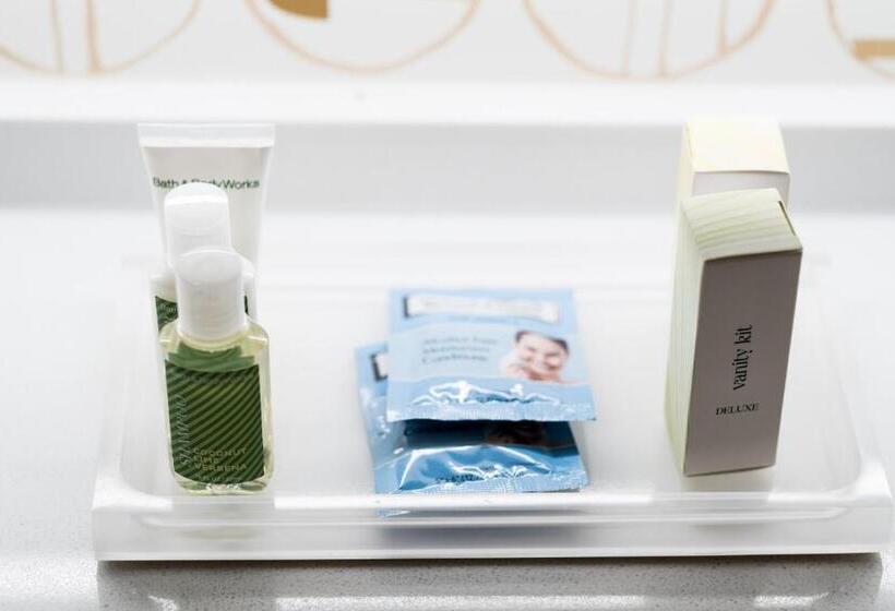 חדר דלוקס, Holiday Inn Grand Haven Spring Lake, An Ihg