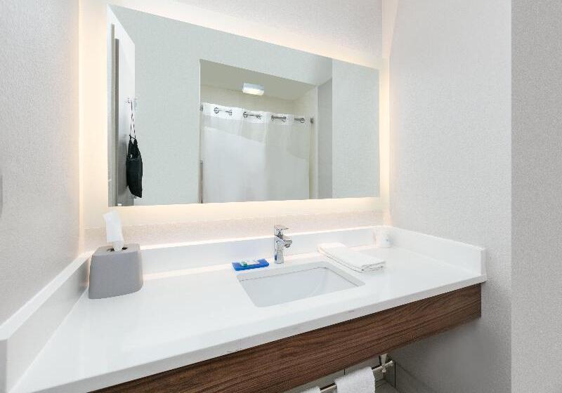 חדר דלוקס, Holiday Inn Grand Haven Spring Lake, An Ihg