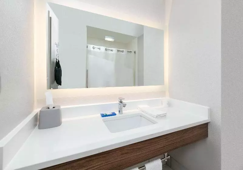 Deluxe-huone, Holiday Inn Grand Haven Spring Lake, An Ihg
