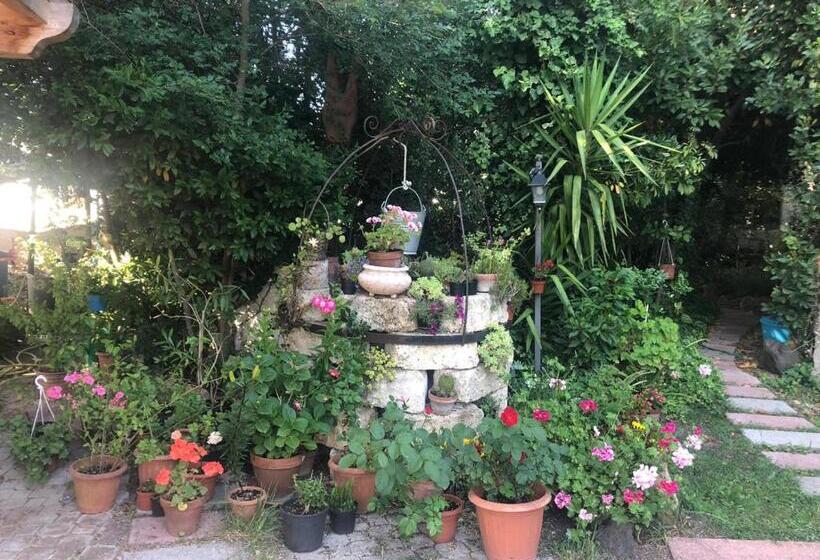 דירת חדר, B&b Domo De Pedra