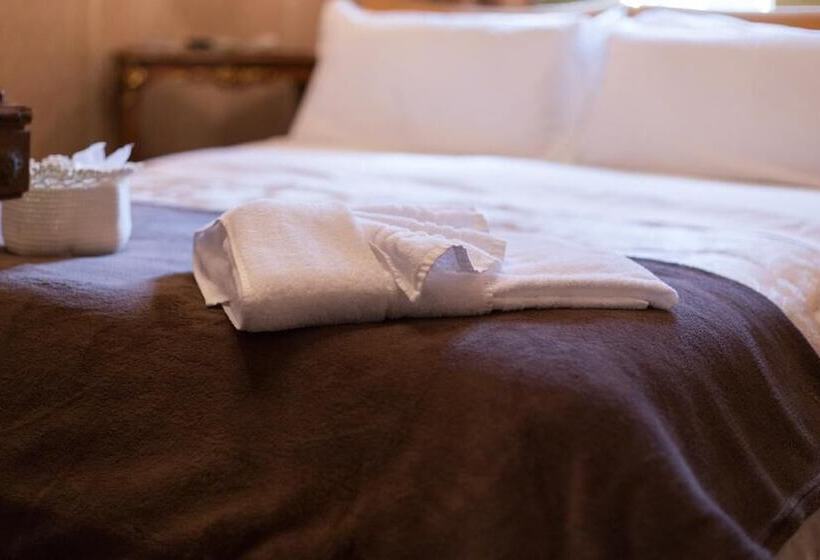 اتاق سوپریور با چشمانداز شهر, La Casa Di Osiride