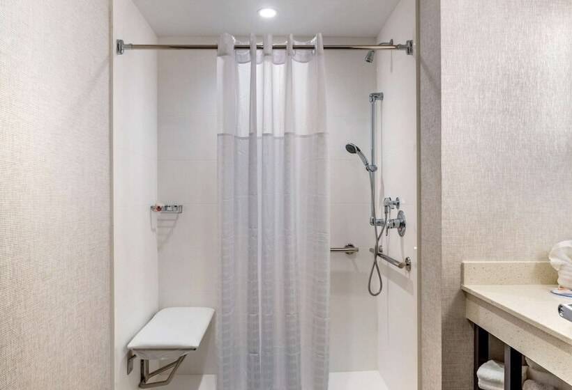 סוויטה מותאמת לאדם עם מוגבלויות, Comfort Inn & Suites Miami International Airport