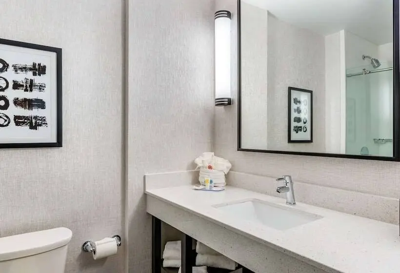 身障者適用スイートルーム, Comfort Inn & Suites Miami International Airport