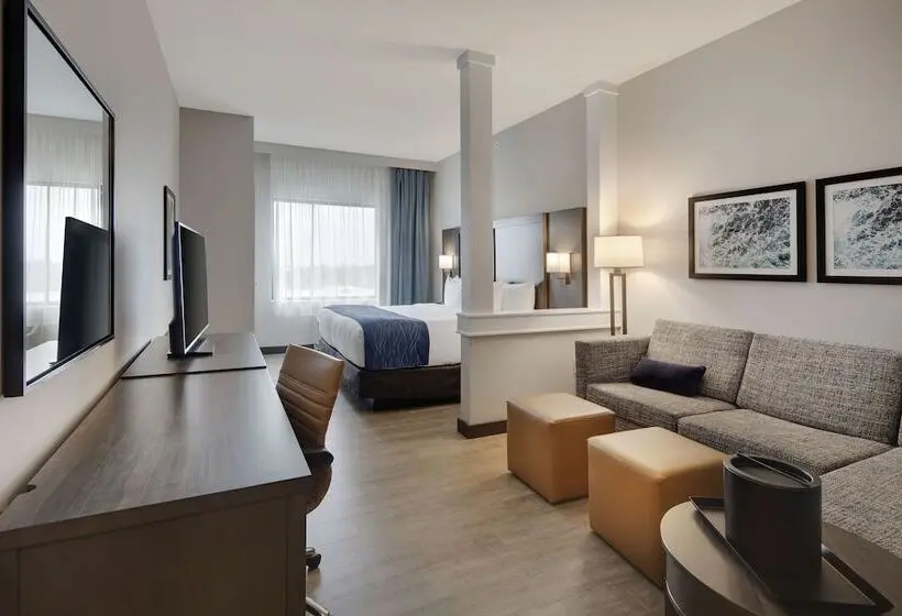 身障者適用スイートルーム, Comfort Inn & Suites Miami International Airport
