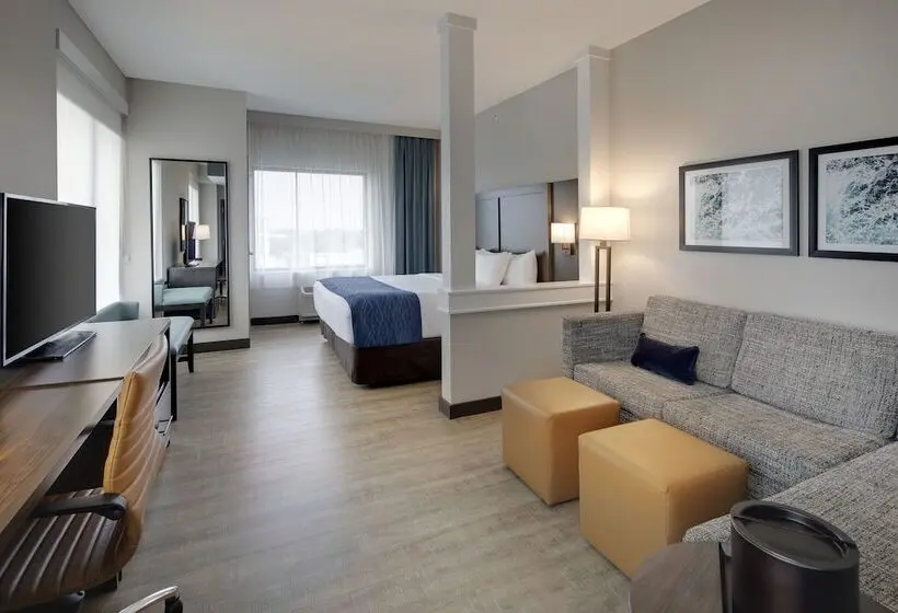 身障者適用スイートルーム, Comfort Inn & Suites Miami International Airport