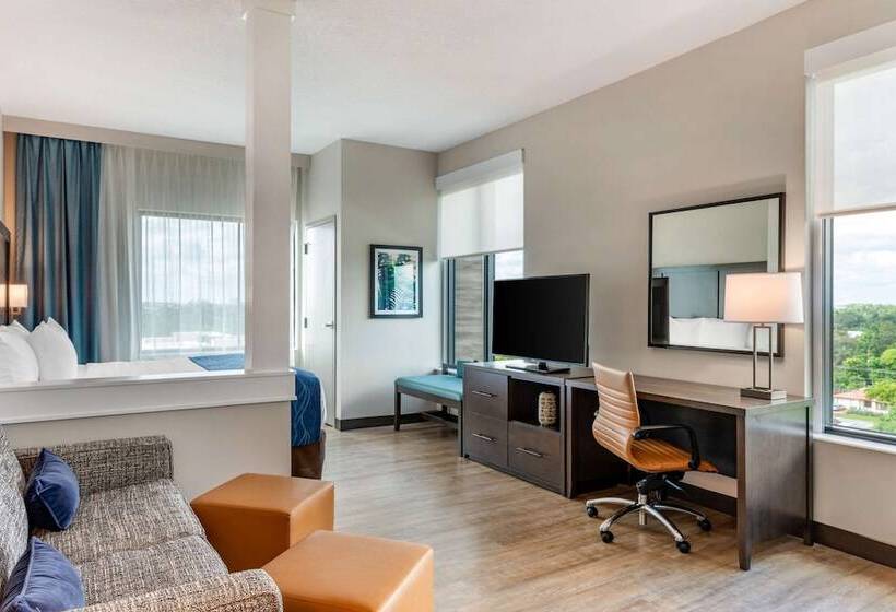 סוויטה מותאמת לאדם עם מוגבלויות, Comfort Inn & Suites Miami International Airport