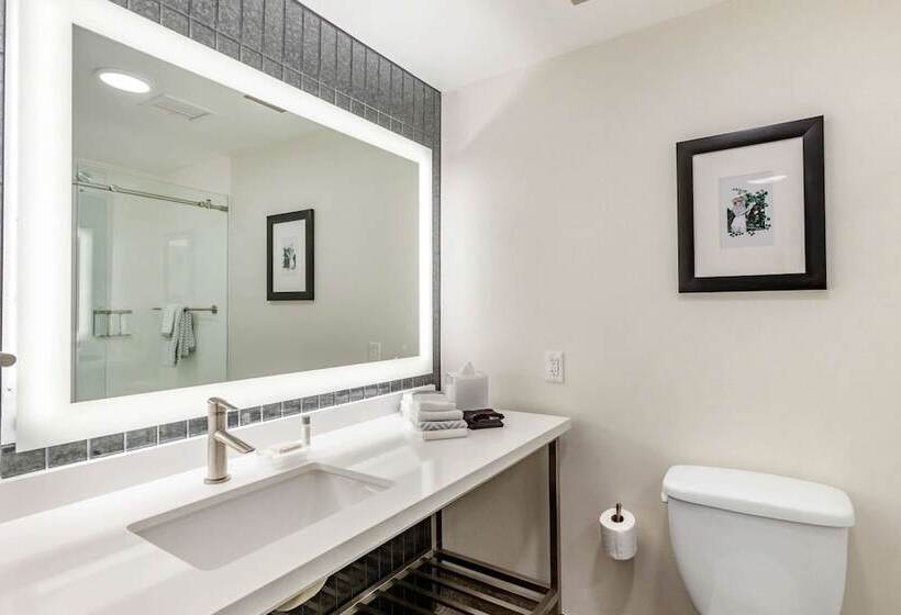 سوئیت برای معلولان, Cambria Downtown Phoenix Convention & Airport