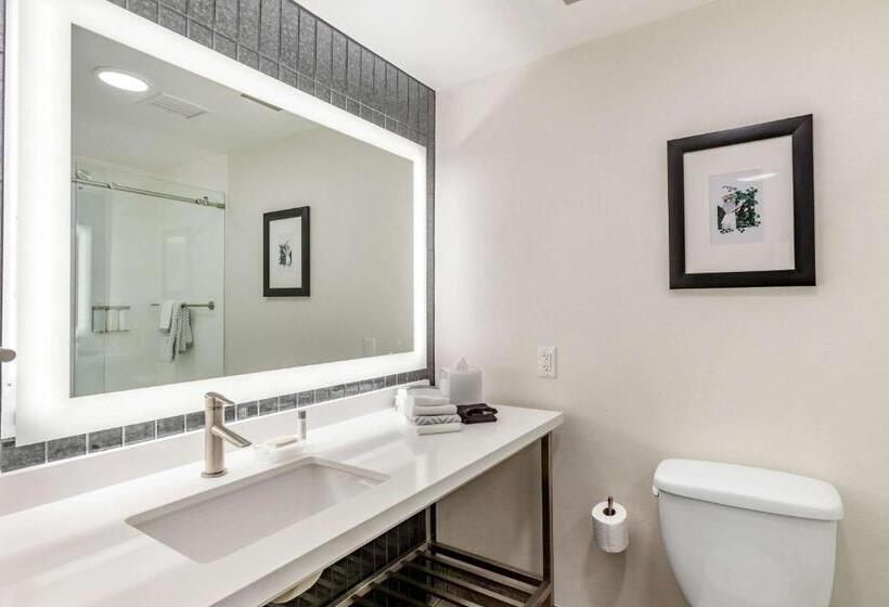 اتاق استاندارد با تخت بزرگ, Cambria Downtown Phoenix Convention & Airport