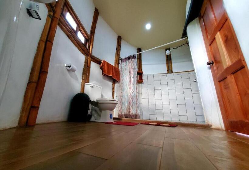 اتاق استاندارد با تراس, The Jungle