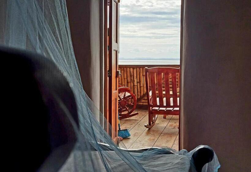 اتاق استاندارد با تراس, The Jungle