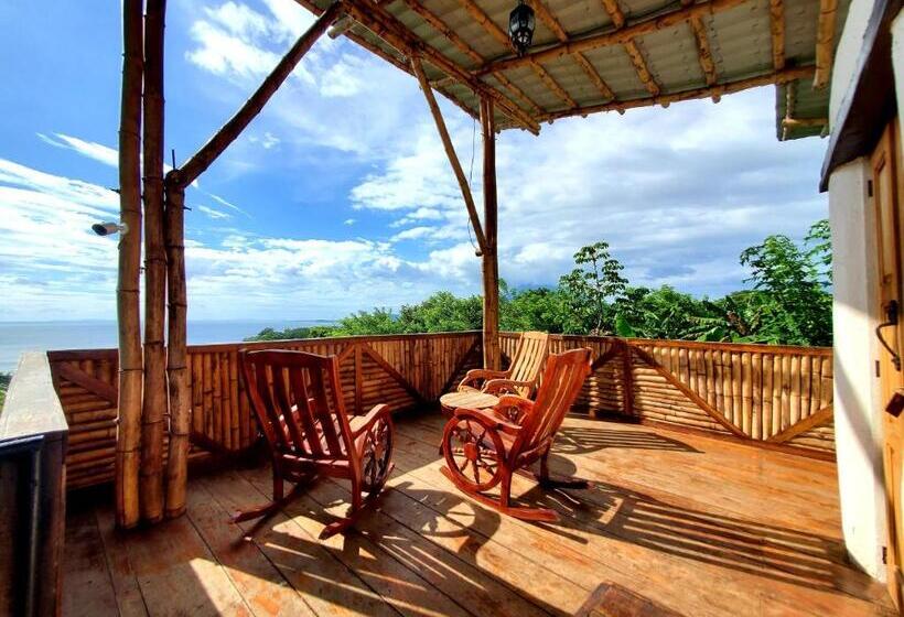 اتاق استاندارد با تراس, The Jungle