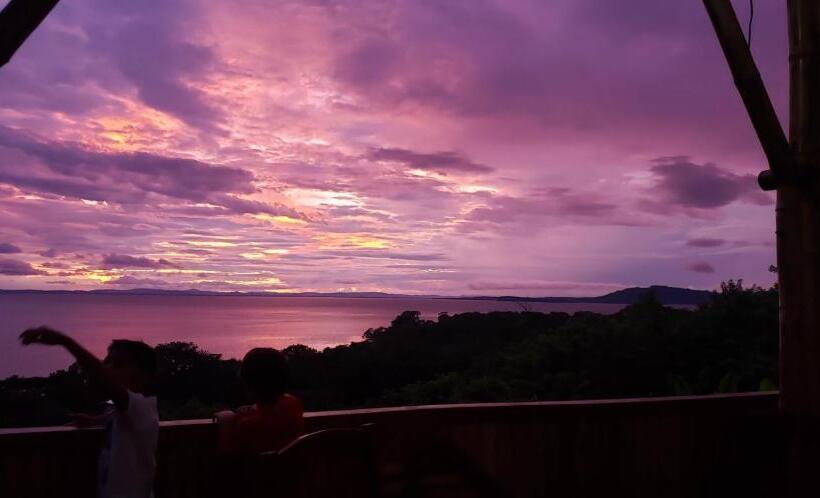 اتاق استاندارد با تراس, The Jungle