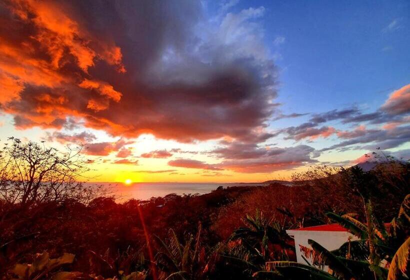 اتاق استاندارد با تراس, The Jungle