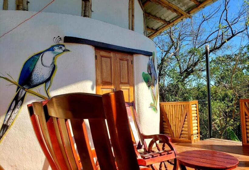 اتاق استاندارد با تراس, The Jungle