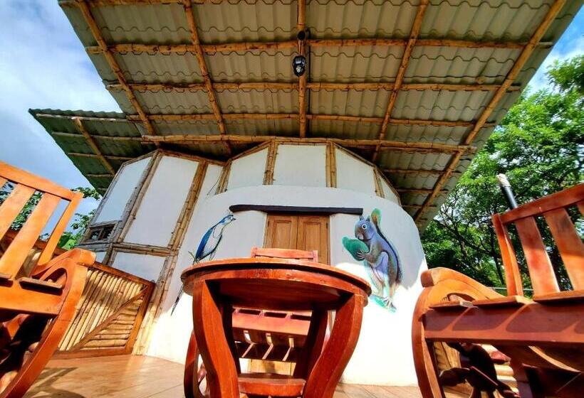 اتاق استاندارد با تراس, The Jungle