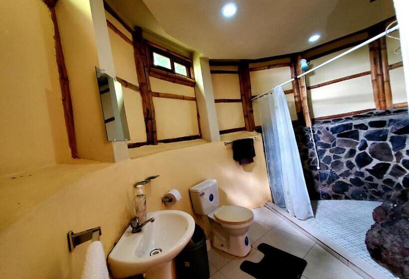 اتاق استاندارد با چشم‌انداز دریاچه, The Jungle