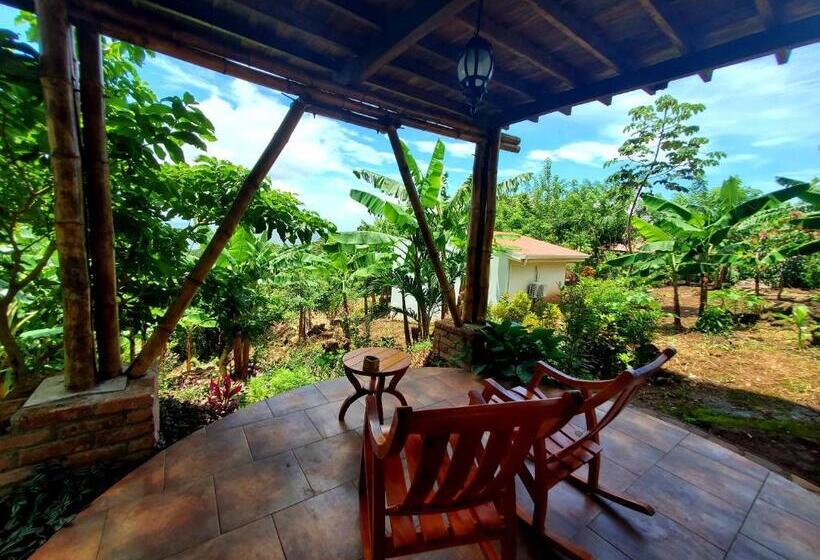 اتاق استاندارد با چشم‌انداز دریاچه, The Jungle